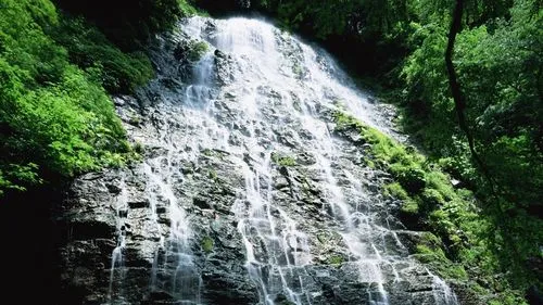 高端高端全自动